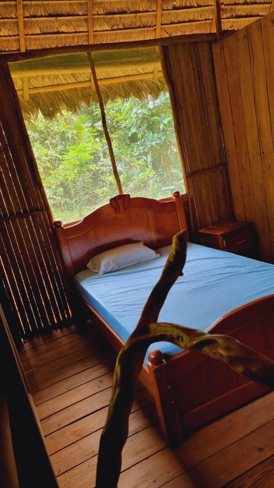 Castana Amazon Park Hostel Puerto Maldonado Kültér fotó