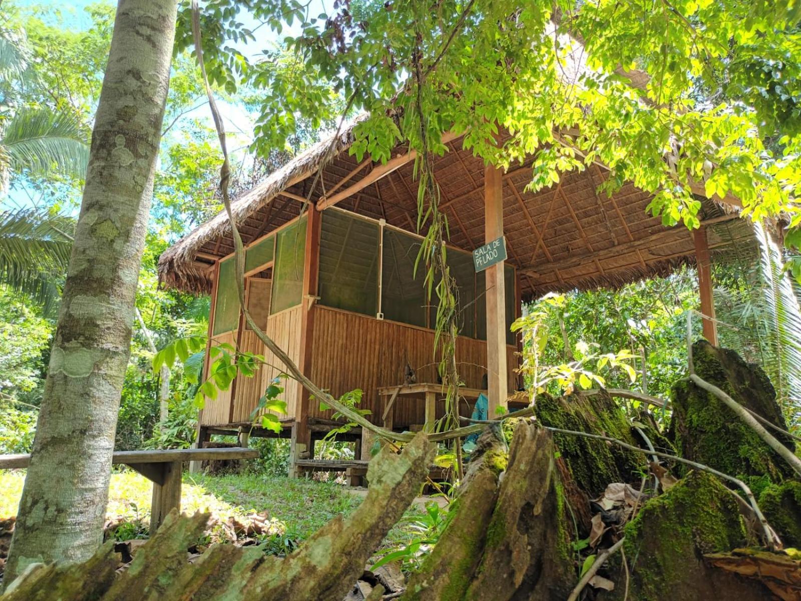 Castana Amazon Park Hostel Puerto Maldonado Kültér fotó