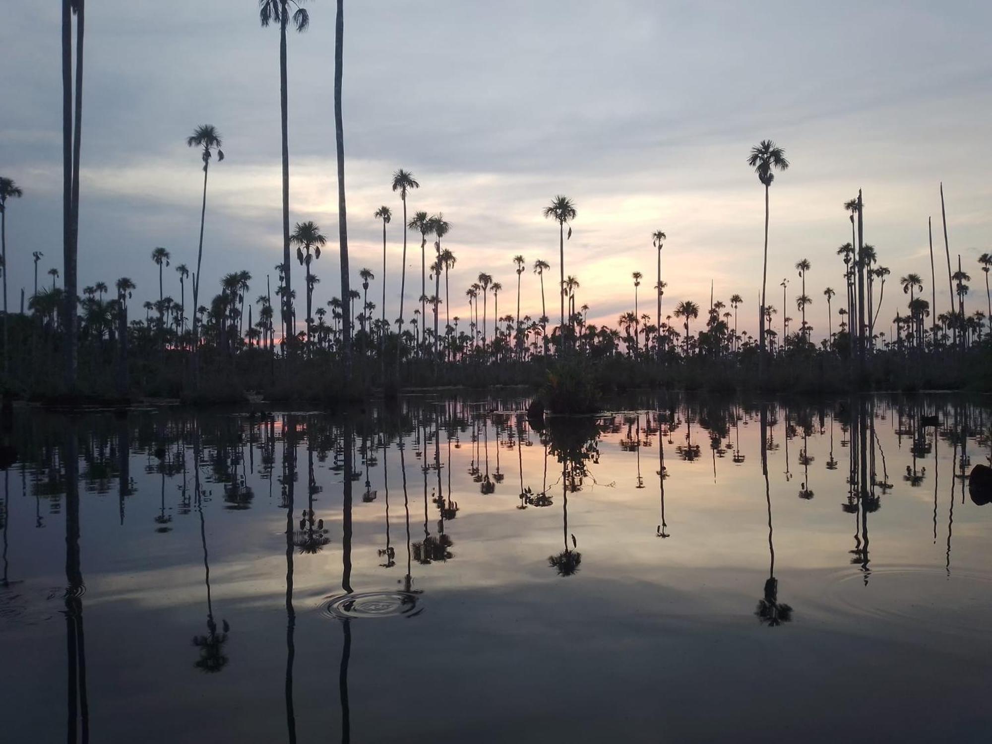 Castana Amazon Park Hostel Puerto Maldonado Kültér fotó