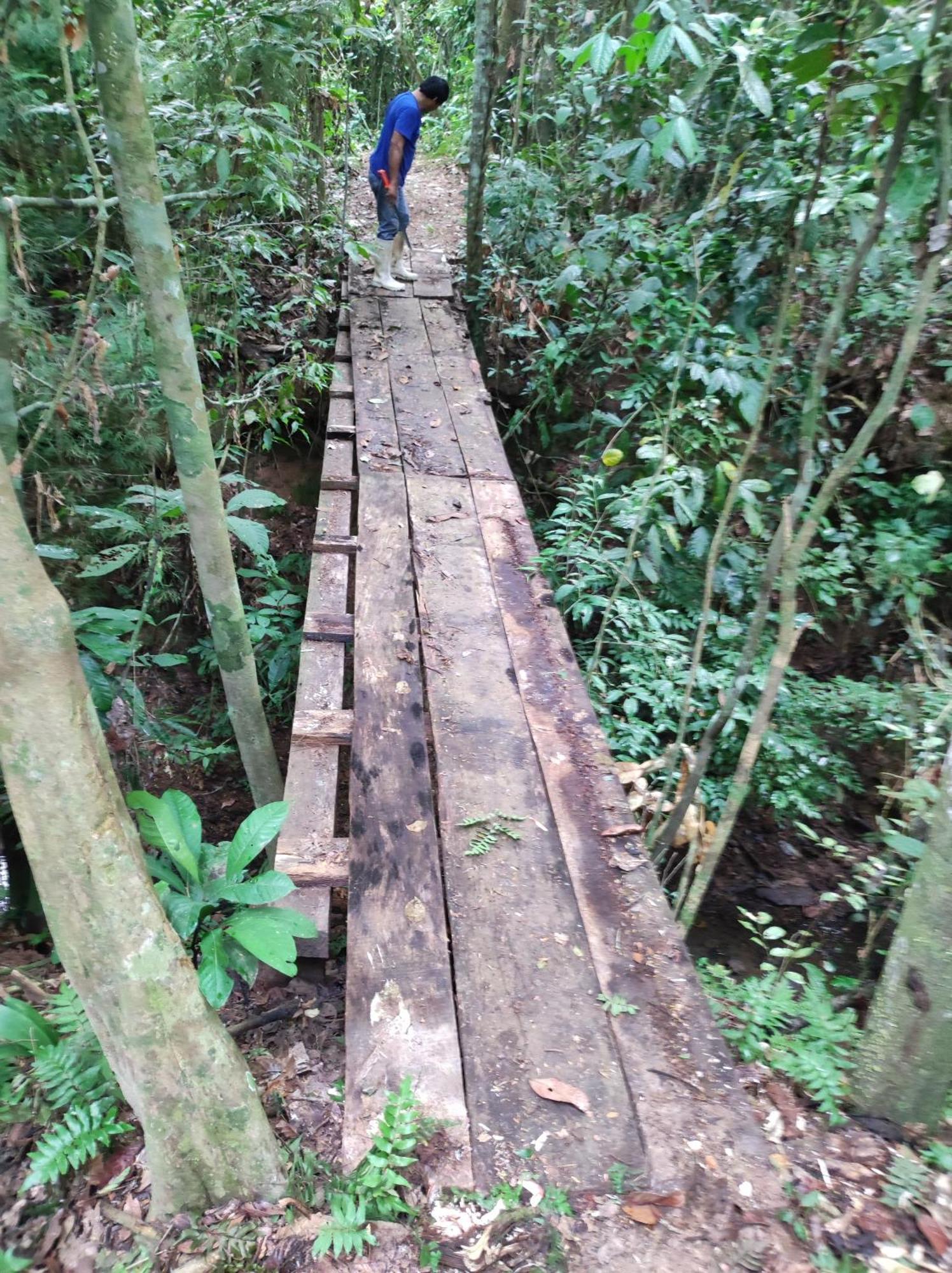 Castana Amazon Park Hostel Puerto Maldonado Kültér fotó