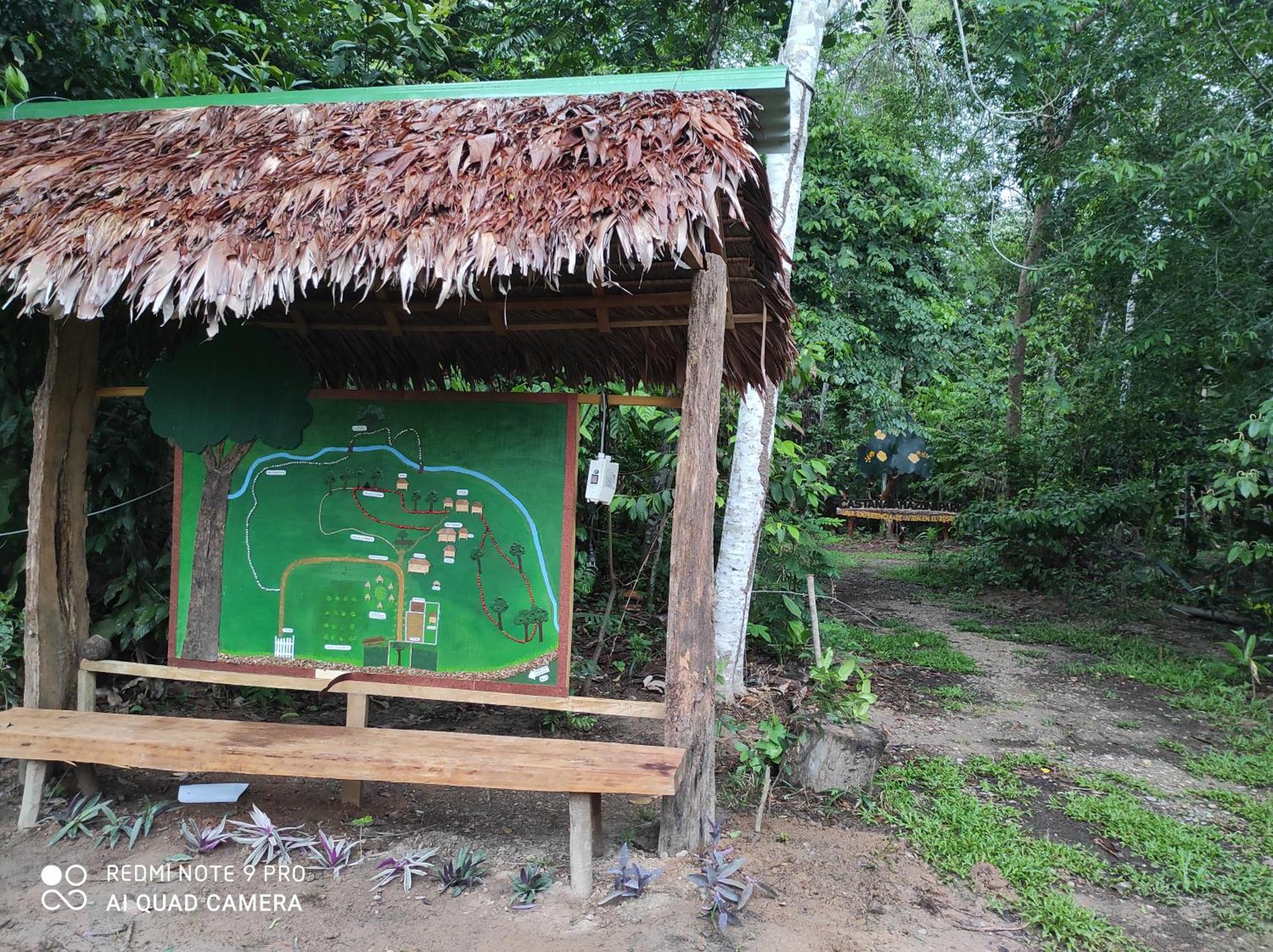 Castana Amazon Park Hostel Puerto Maldonado Kültér fotó